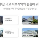 나무병원건강한숲 이미지