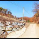 이산면사무소 이미지