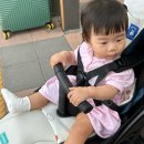 과원동로 | 아기와 19일 제주살이 (1) | 이재모피자, 김녕식당, 대복해장국, 루앤리케이크