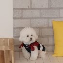리츠펫 이시아폴리스점 이미지