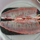 제일송어산장 이미지