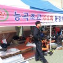 능곡초등학교 이미지