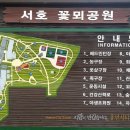 서호체육센터 이미지