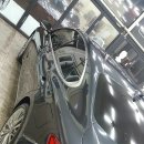 키다리광택 이미지