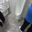 녹색방역 - 종로구 | 용산구 남영동 사무실 정기청소 추천업체 후기