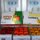 정영식농장 이미지