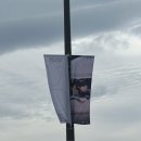 씨디앤유 | 2025 10cm 단독공연 <5.0> 감동 후기 🥹 스포주의‼️ (주차정보/셋리)