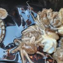 엘파로 펜션 이미지