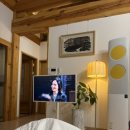 스테이오로지 이미지