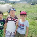 율곡농장 이미지