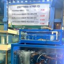 오징어 세상 이미지