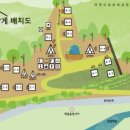 지선네