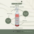 도그도그펫 이미지