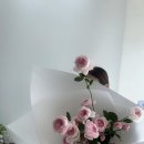 베티그린