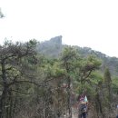 밀레 군산영동점 이미지