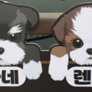 빠네렌토 이미지