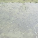 종로5.6가동 이미지