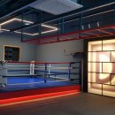 달서권투 이미지