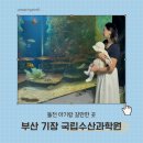 기장 국립수산과학원 수산과학관 부산 돌전 아기랑 갈만한 곳