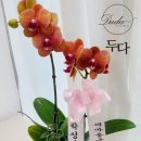 학성사우나 이미지