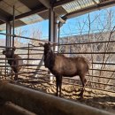 성진목장 이미지