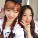 채원 이미지