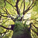 대림12차아파트(2) 이미지