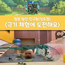 산책하는날 | 상도동 애견 유치원 후기 / 노량진 강아지 유치원...극기 훈련 체험"/ 산책하는 애견 유치원 / 강아지...
