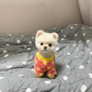 학익동물병원 이미지