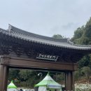 정읍 가볼만한 곳 / 제 15회 정읍 구절초 꽃 축제 / 옥정호 구절초 축제 솔직후기