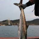 대한호