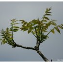 여주-0033 이미지