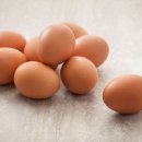 계란 먹을 때 콜레스테롤 걱정되는 사람, 꼭 보세요 이미지