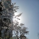 다이어트스파퓨어스파 이미지