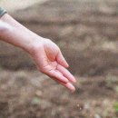 은정약국 이미지