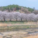 증평대교 앞 이미지