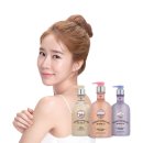 더스타일바디 이미지
