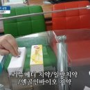 엘골인바이오