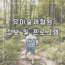 미성동-33 | 유아숲체험원 이용 정보 및 프로그램 예약하기