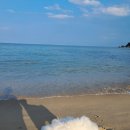 사천견생 이미지