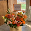 더피우리 이미지