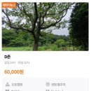 거제GO캠핑 이미지