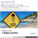 리딩컴퍼니