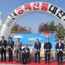 신토불이 축산물