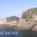 대삼부도 티스토리