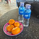 청안농장 | 투어, 포롱자라이, 씨푸드레스토랑, 항라이해변)/청안 딤섬/CCCP커피/레갈리아 골드 호텔/야시장/레드...