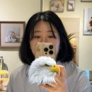 학하남로1 | 대전 더 네츄럴 스튜디오 성장앨범 계약 및 만삭사진 촬영 후기 (금액, 스튜디오 비교, 좋은점, 아쉬운점)