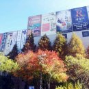 한국방송공사 창원방송총국 네이버블로그