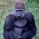 서울대공원 이미지