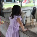 쌍둥이 목장 이미지